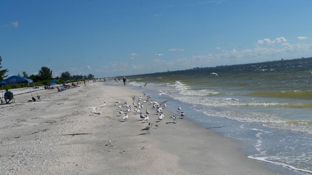 Gulf Breeze Cottages サニベル エクステリア 写真